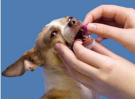 스크린샷 2019-02-13 오전 11.19.23.png