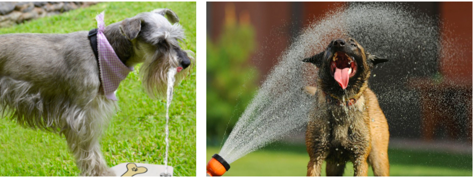 스크린샷 2019-02-13 오전 10.41.20.png