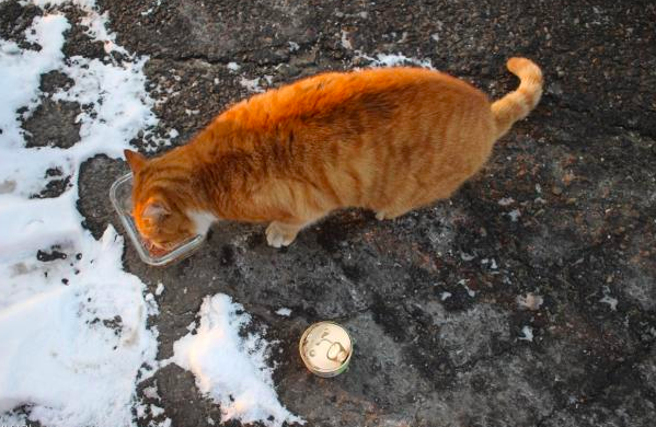 스크린샷 2019-02-13 오전 10.28.59.png