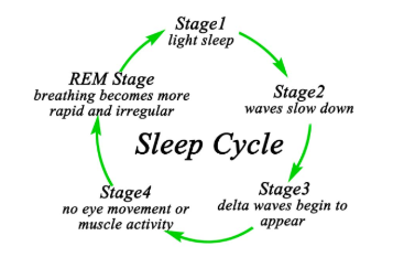 스크린샷 2019-03-23 오후 11.13.57.png