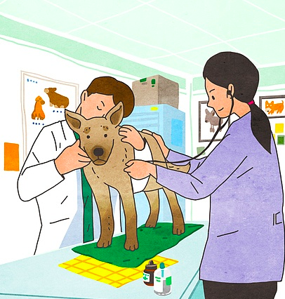 스크린샷 2019-02-13 오전 11.06.23.png