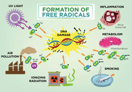 스크린샷 2019-04-14 오전 12.24.33.png
