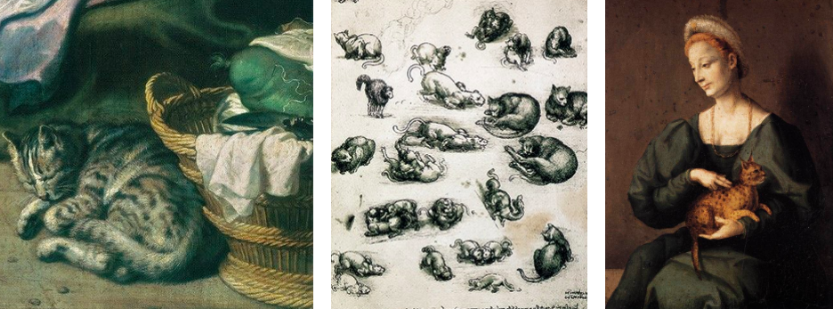 스크린샷 2019-02-13 오전 10.52.56.png