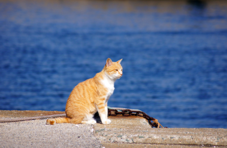 스크린샷 2019-02-13 오전 10.29.40.png