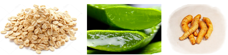 스크린샷 2019-02-13 오전 11.09.29.png