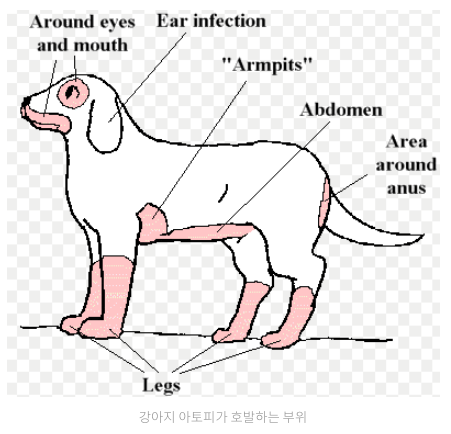 스크린샷 2019-02-13 오전 10.19.15.png