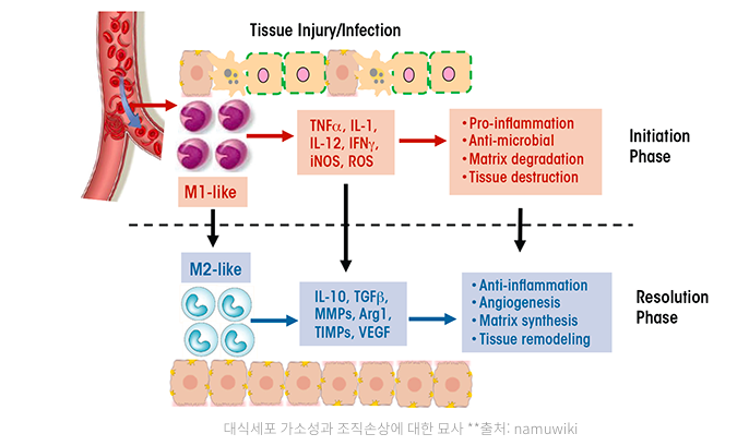 스크린샷 2019-02-13 오전 10.24.45.png