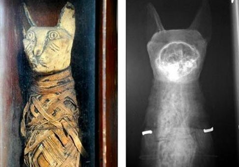 스크린샷 2019-02-13 오전 10.52.50.png