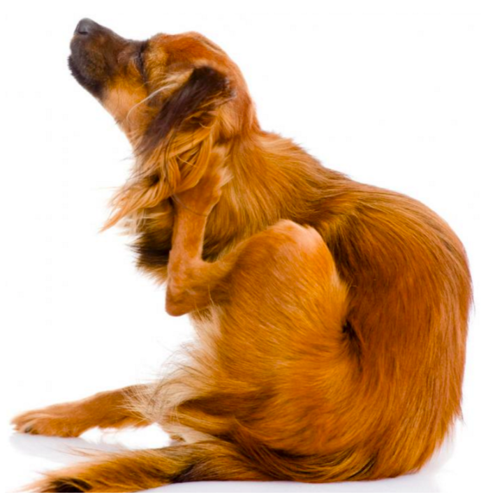 스크린샷 2019-02-13 오전 10.11.08.png