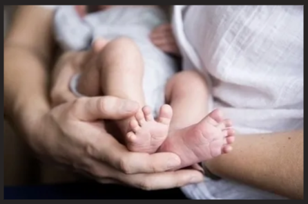 화면 캡처 2025-11-12 124625.png