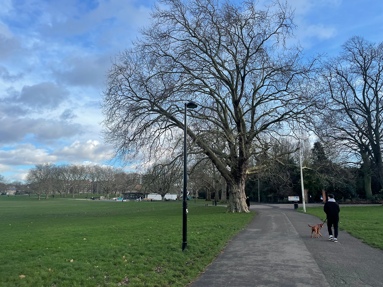 스크린샷 2022-03-06 15.08.11.png