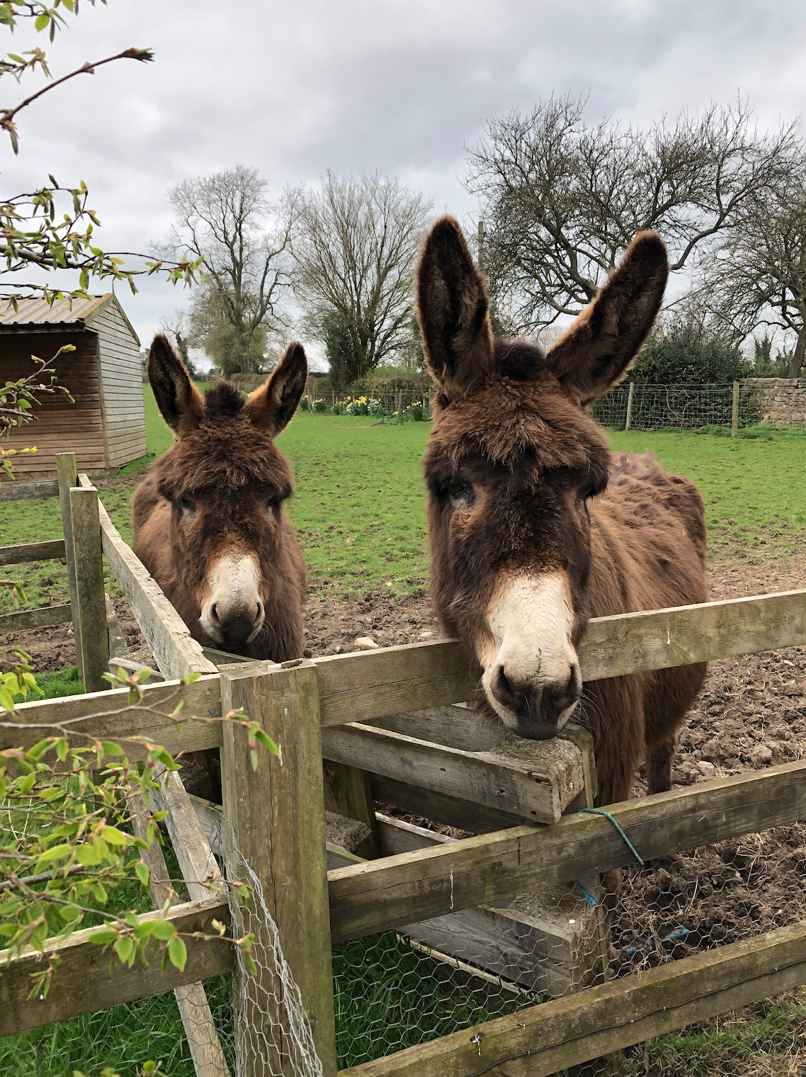 스크린샷 2022-08-20 15.26.25.png