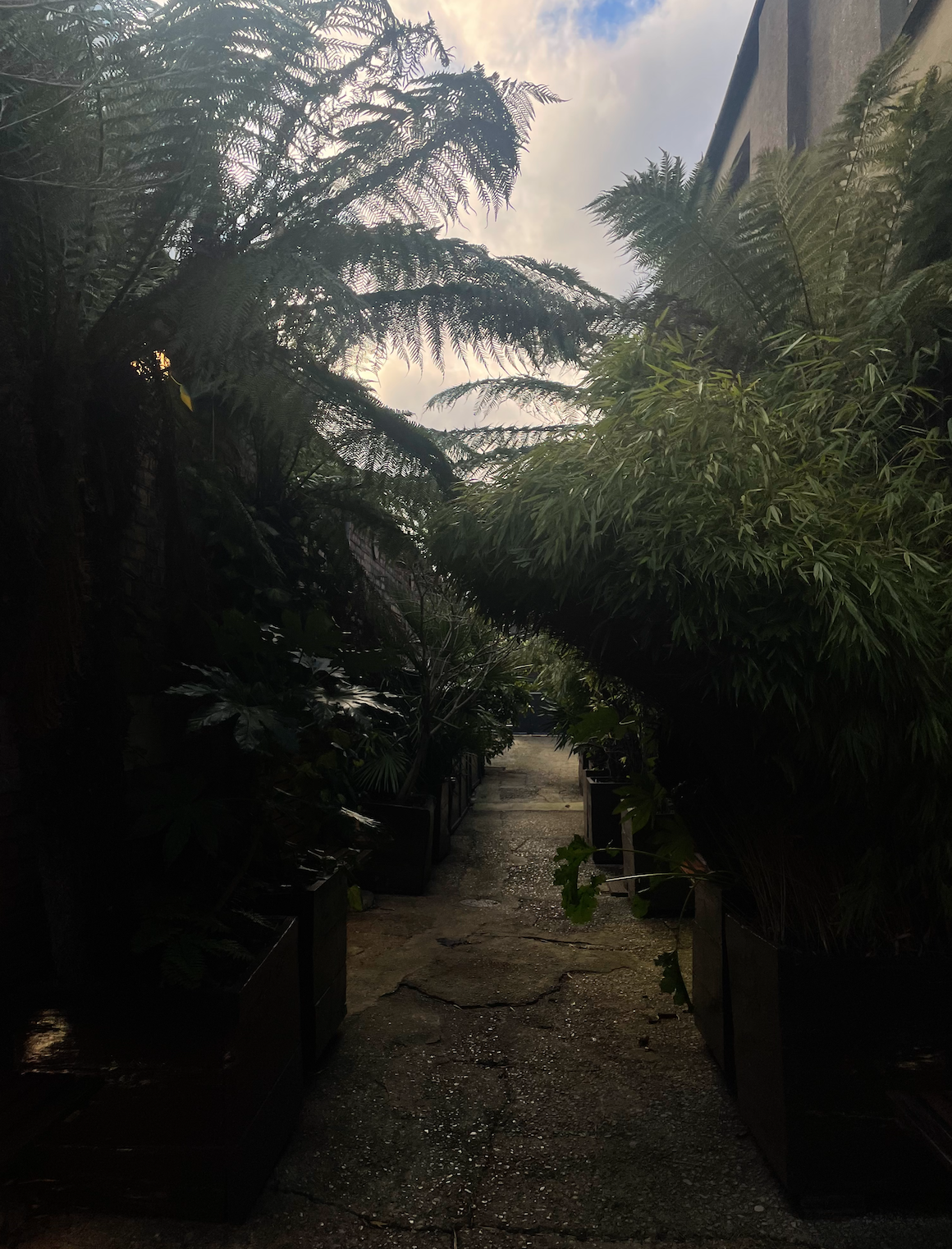 스크린샷 2022-03-31 23.26.10.png