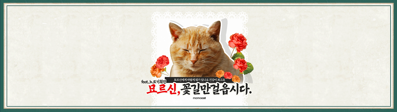 롤링배너1.png