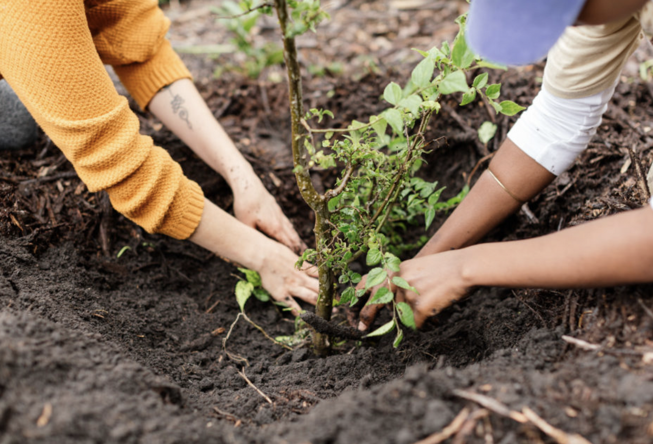 스크린샷 2024-01-31 11.42.12.png