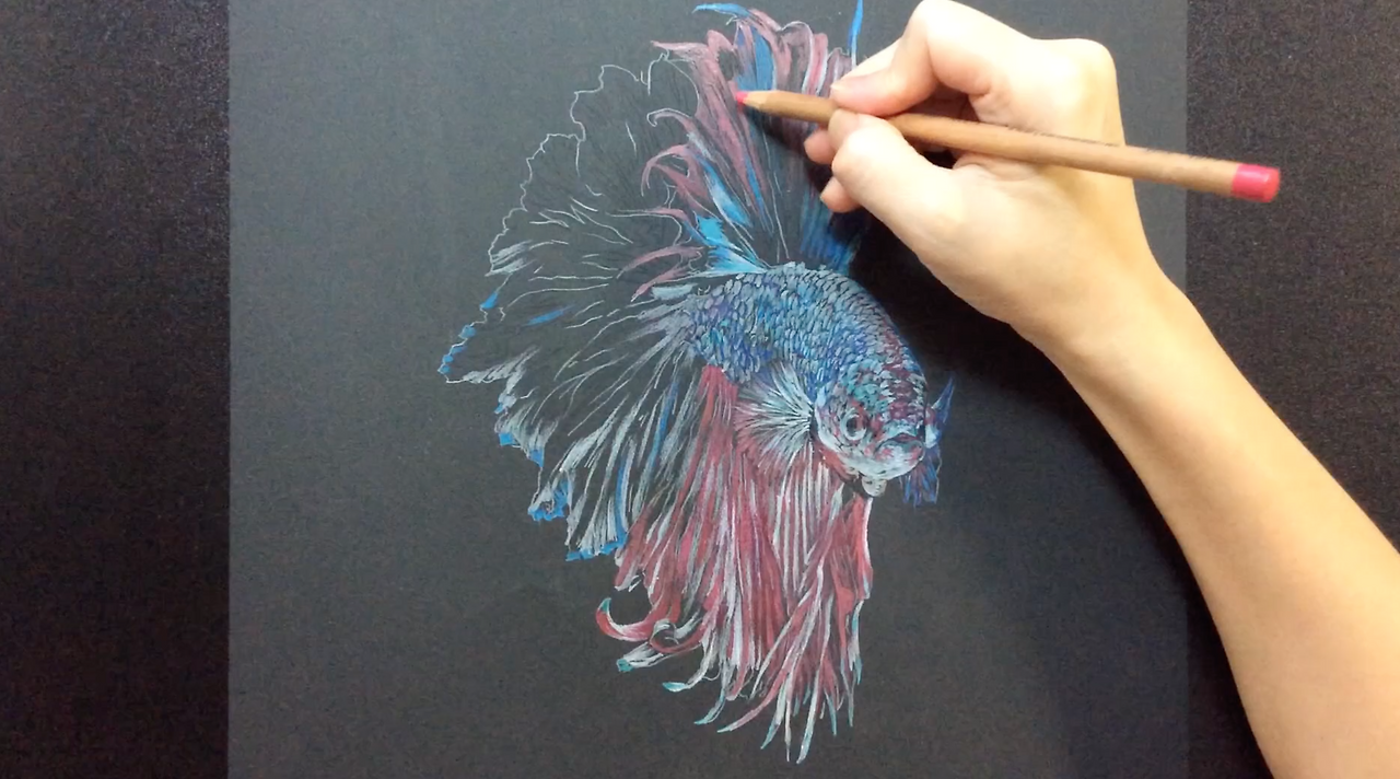 스크린샷 2019-03-19 오후 2.07.40.png