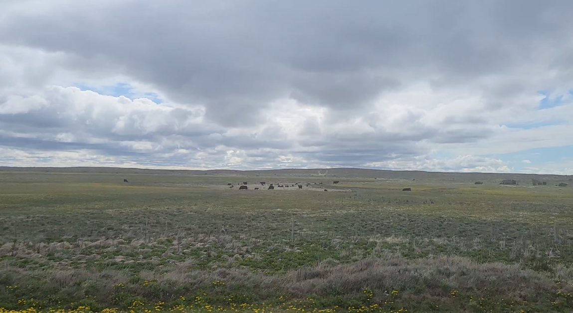 스크린샷 2025-12-23 214907.png