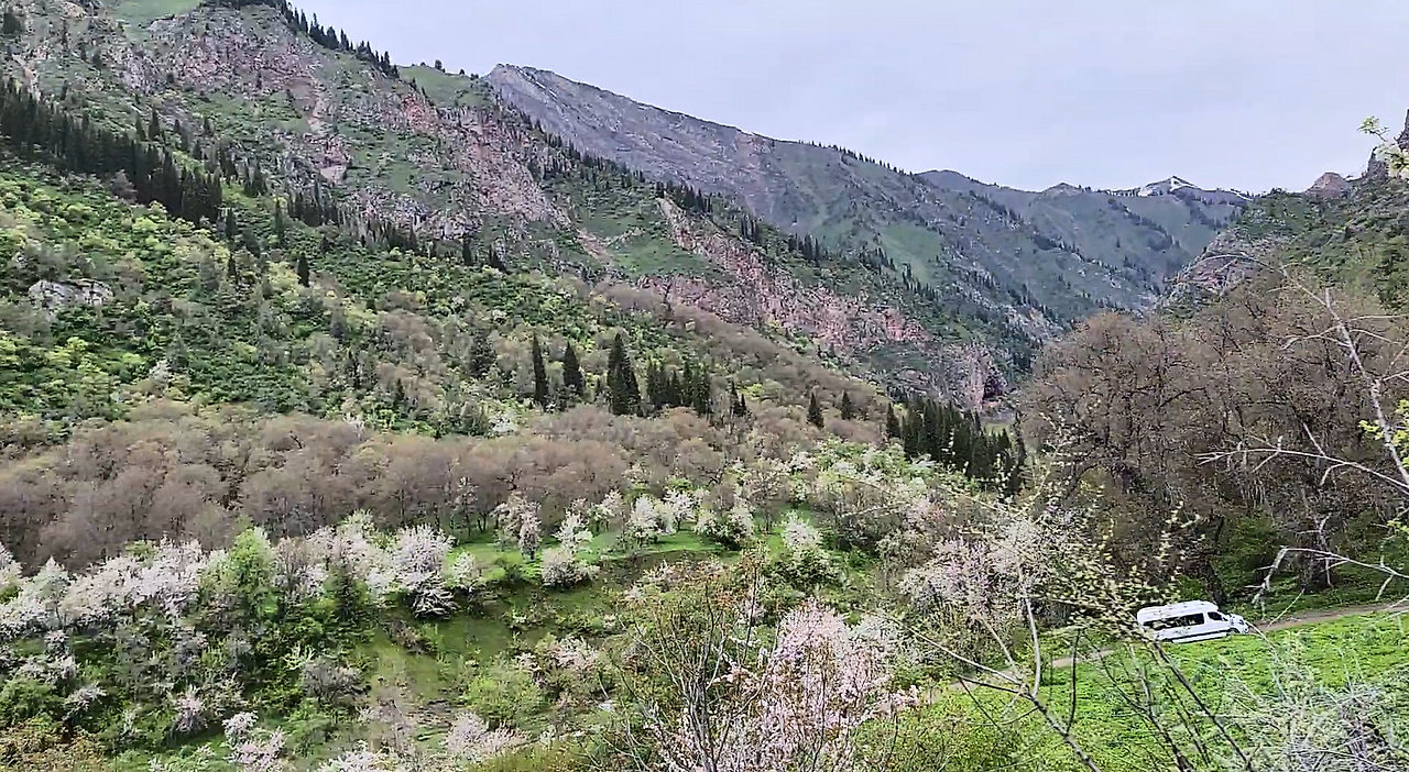 스크린샷 2024-12-04 182945.png