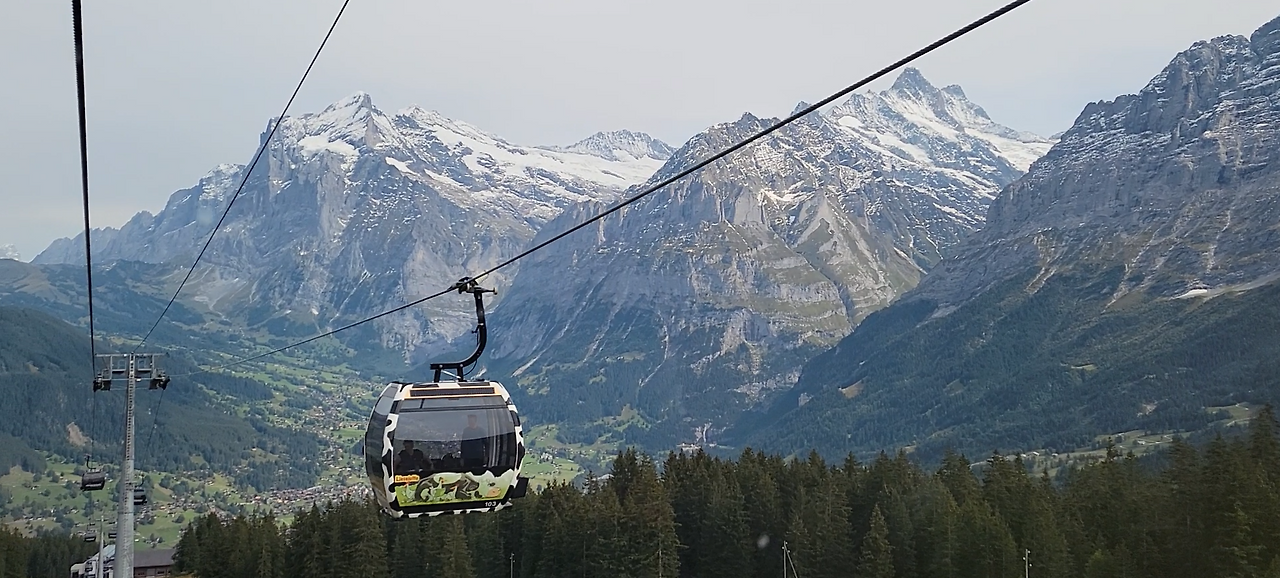 스크린샷 2024-11-18 174834.png