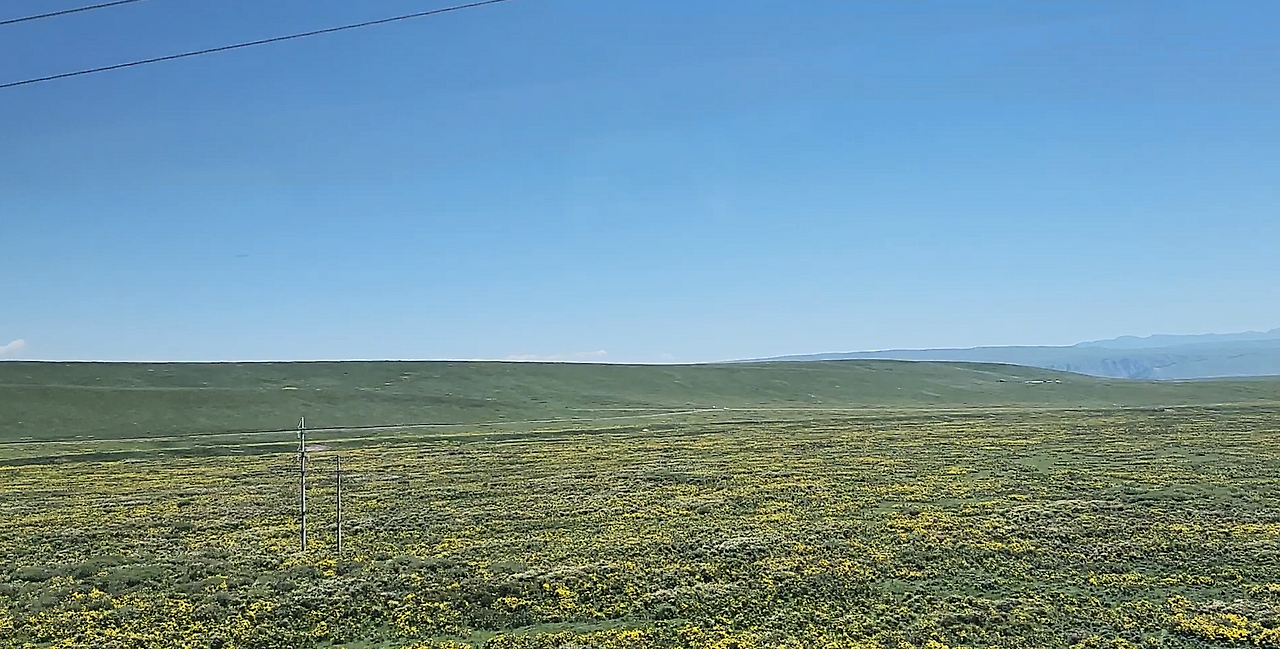 스크린샷 2024-12-24 014612.png