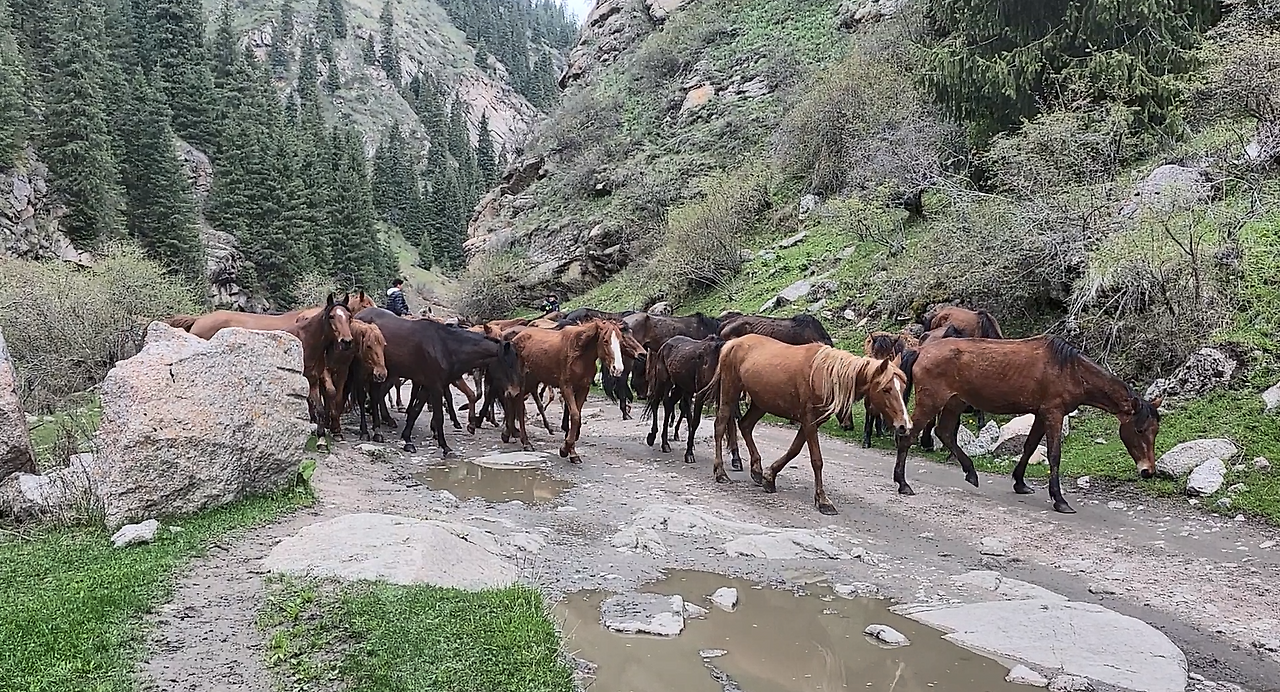 스크린샷 2024-12-03 205513.png