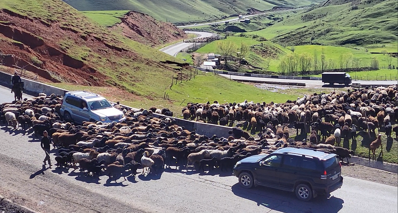 스크린샷 2024-12-03 211943.png