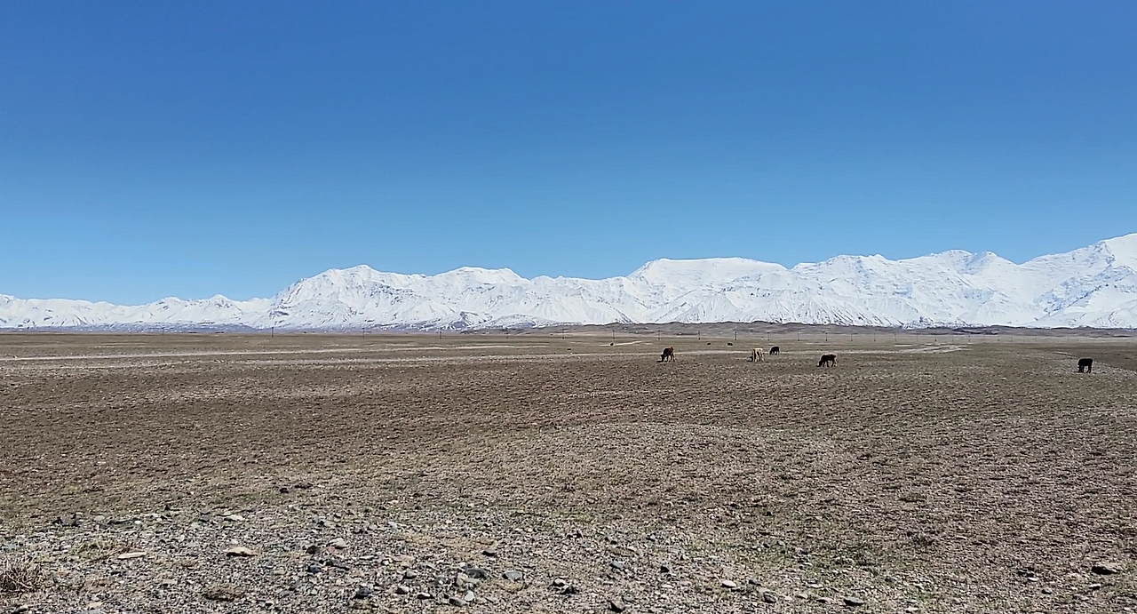 스크린샷 2024-12-03 212209.png