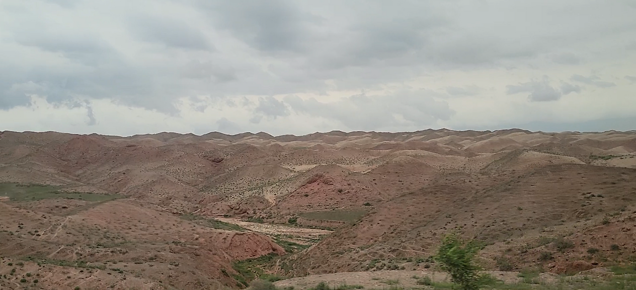 스크린샷 2024-12-24 014324.png