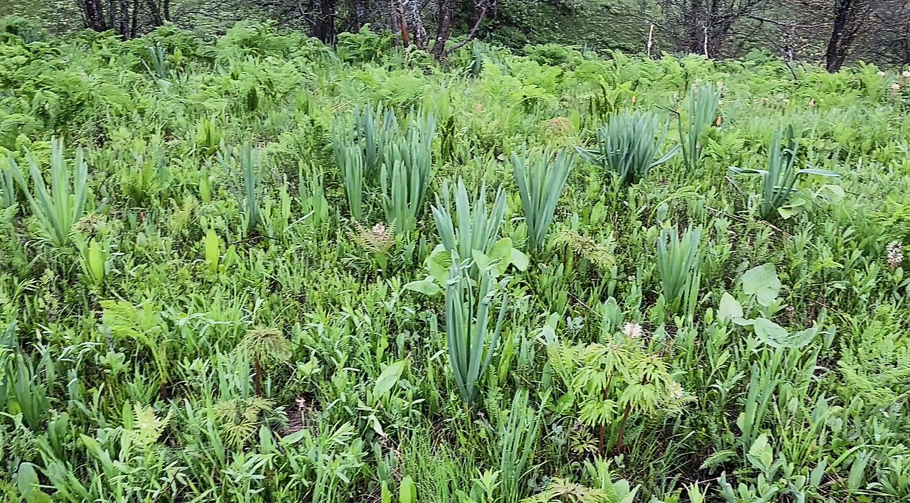 스크린샷 2024-12-03 211232.png