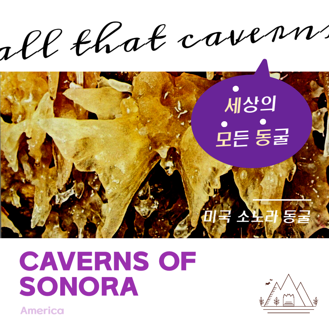 세모동-001 (1).png