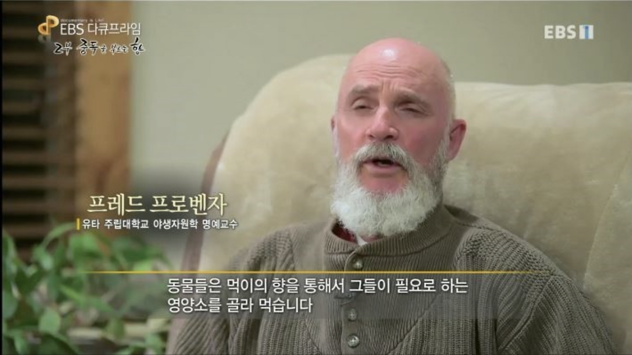 스크린샷 2020-06-10 오후 10.09.44.png