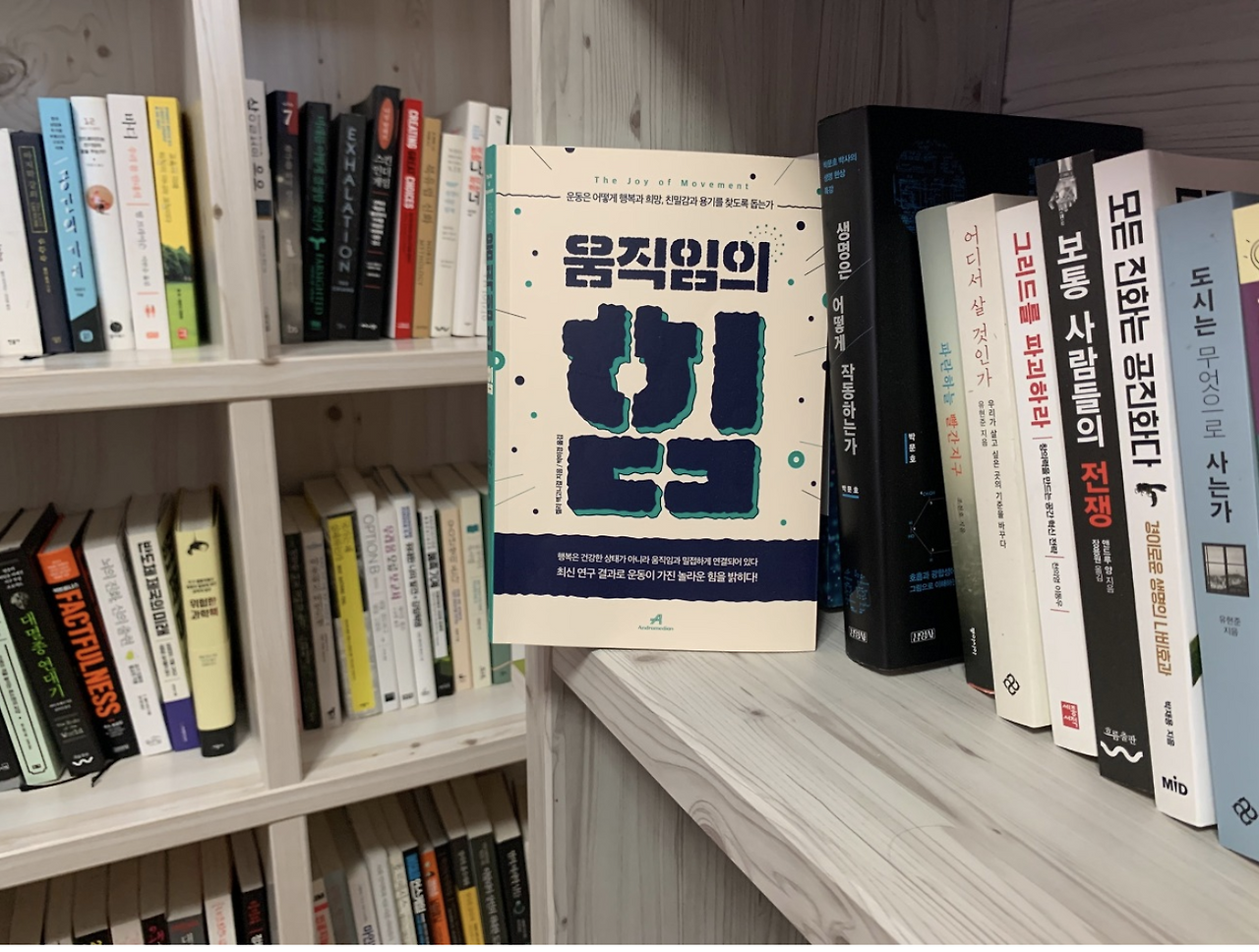 스크린샷 2020-06-15 오전 11.17.27.png