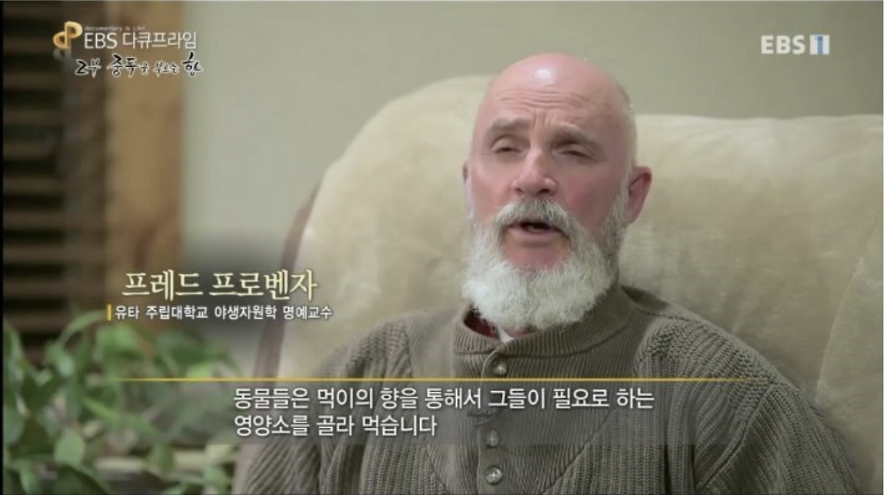 스크린샷 2020-06-15 오전 10.55.48.png