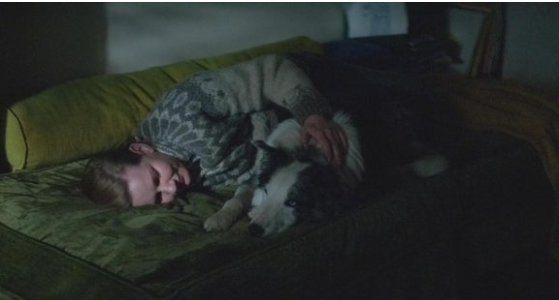 스크린샷 2024-11-10 003842.png