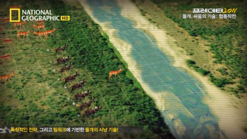 Screen Shot 2019-03-21 at 12.12.34 PM.png