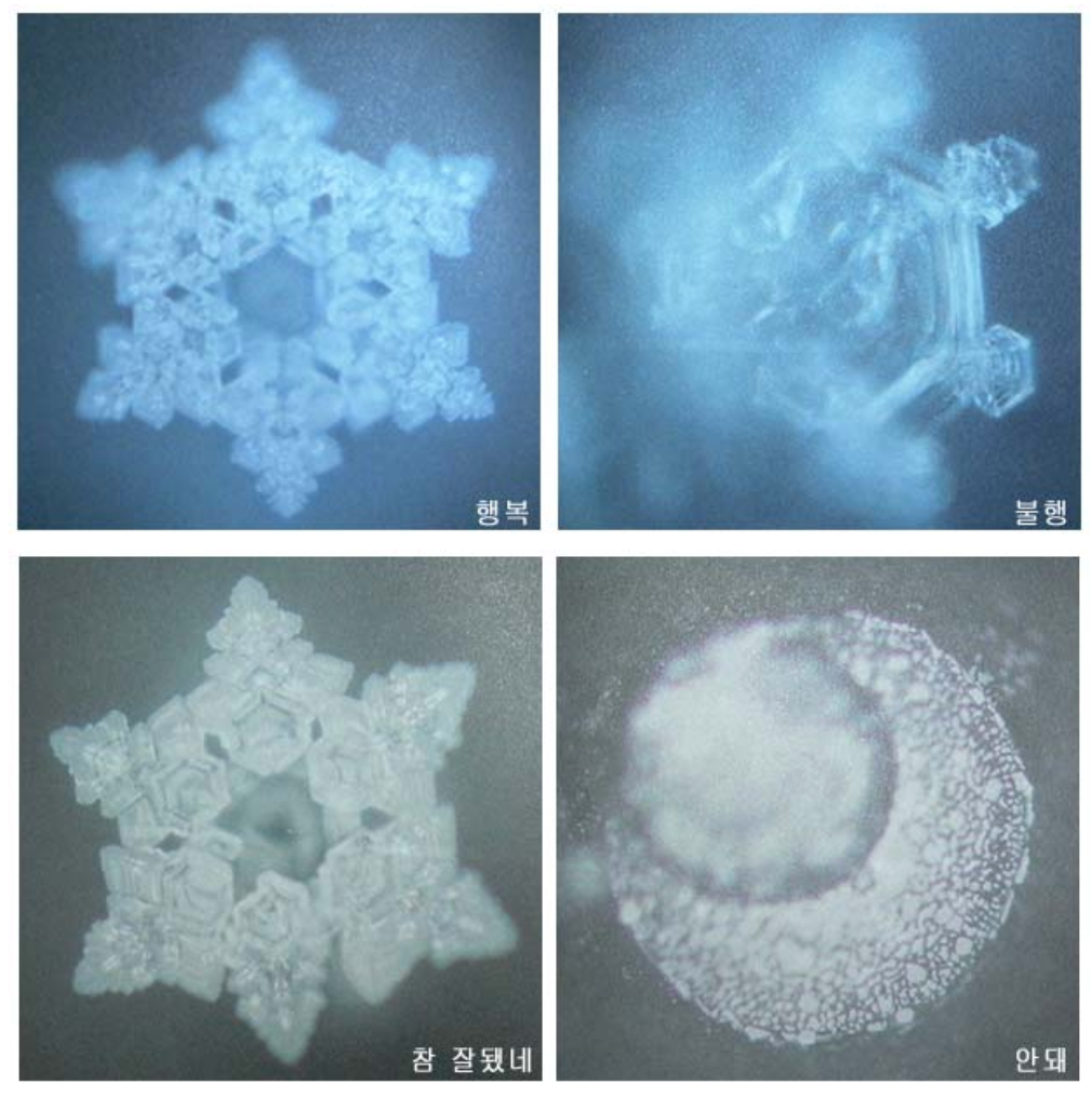 Screen Shot 2019-06-30 at 9.03.00 PM.png