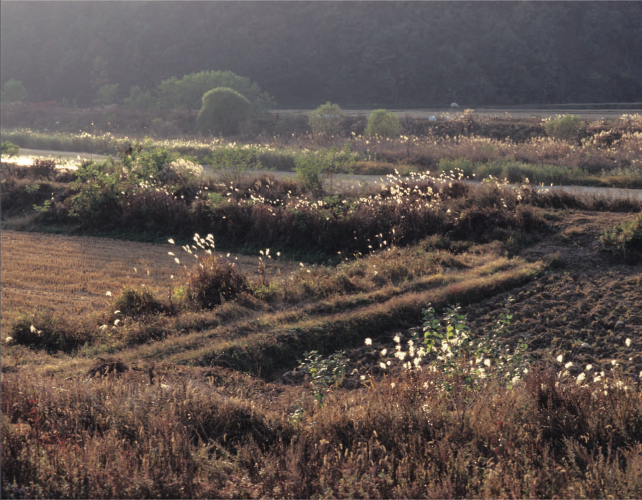 Screen Shot 2019-07-06 at 10.59.59 AM.png