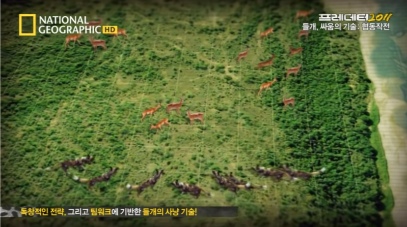 Screen Shot 2019-03-21 at 12.03.40 PM.png