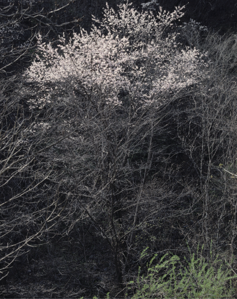 Screen Shot 2019-07-06 at 10.57.03 AM.png