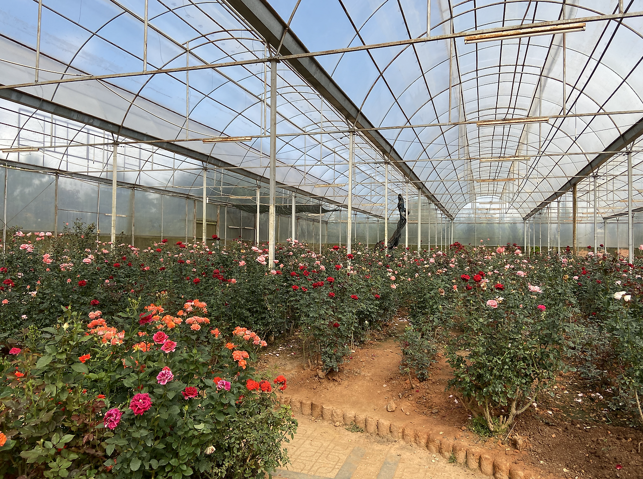 Screen Shot 2021-07-11 at 7.09.22 PM.png