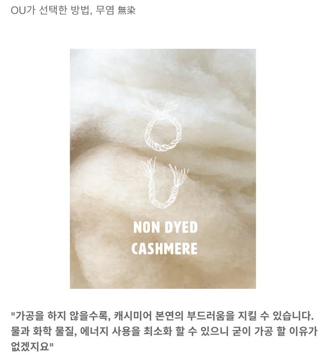 무염캐시미어1.png