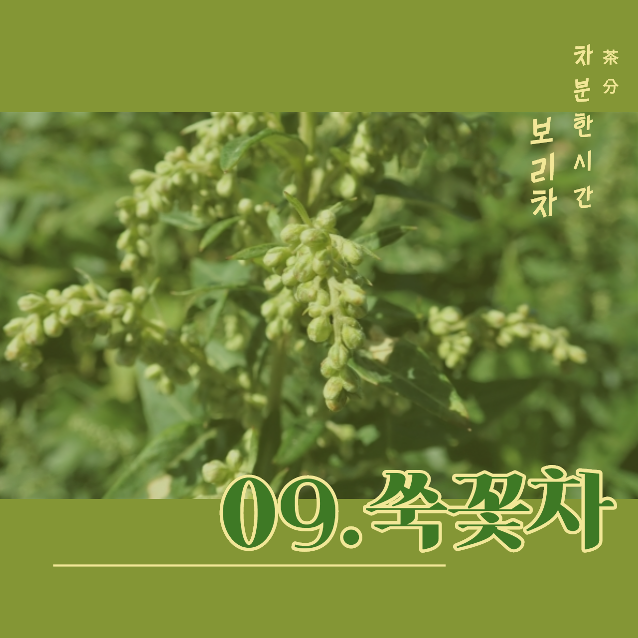 제목을 입력해주세요._1 (5).png