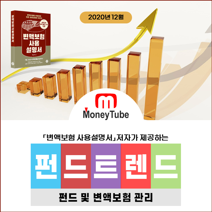 변액보험관리 포스팅 타이틀.png