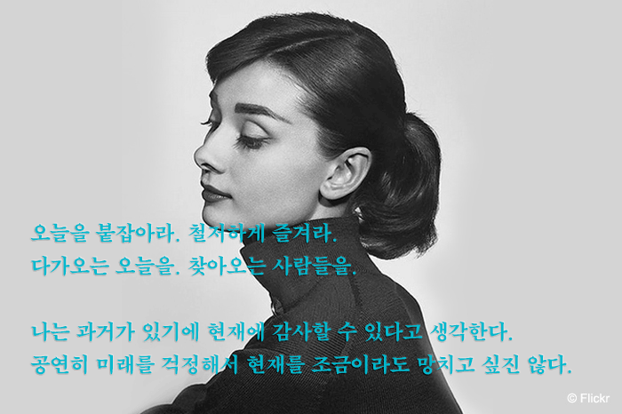 오드리햅번.png