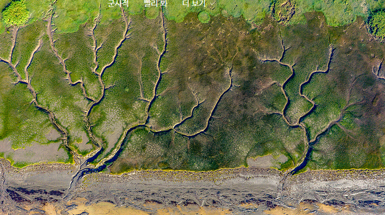 스크린샷 2025-10-09 040008.png