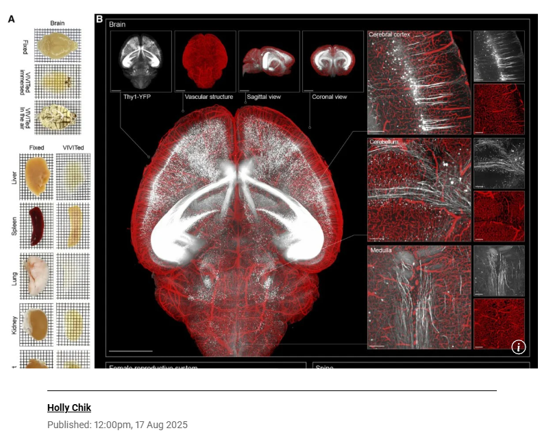 스크린샷 2025-08-17 174616.png