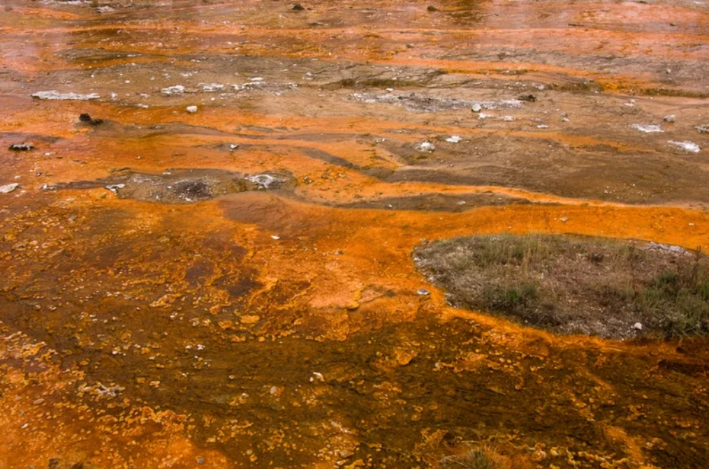 스크린샷 2025-09-11 055258.png