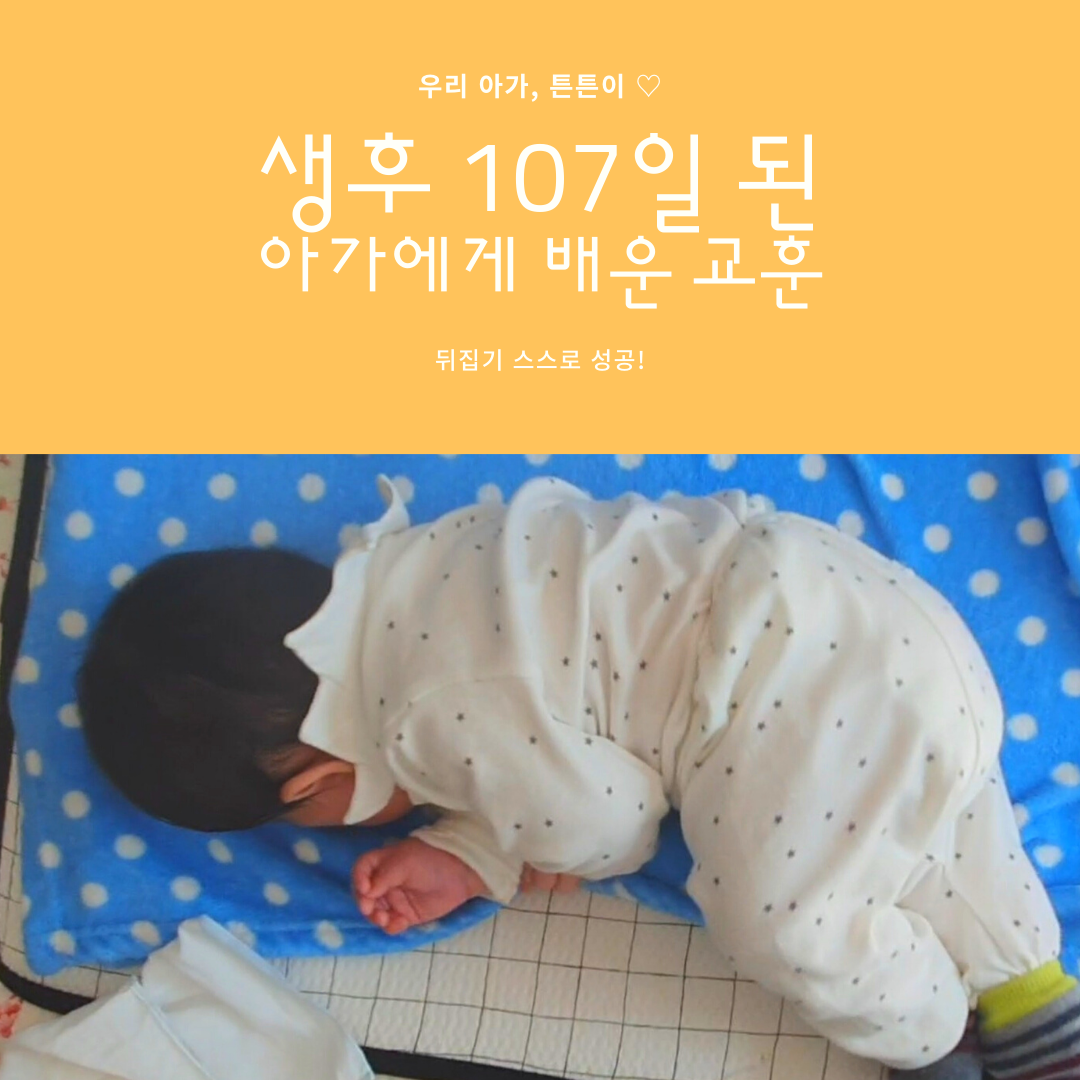KakaoTalk_20210403_185613794.png