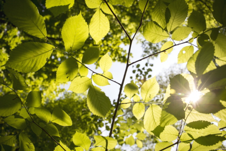 스크린샷 2025-10-17 105751.png