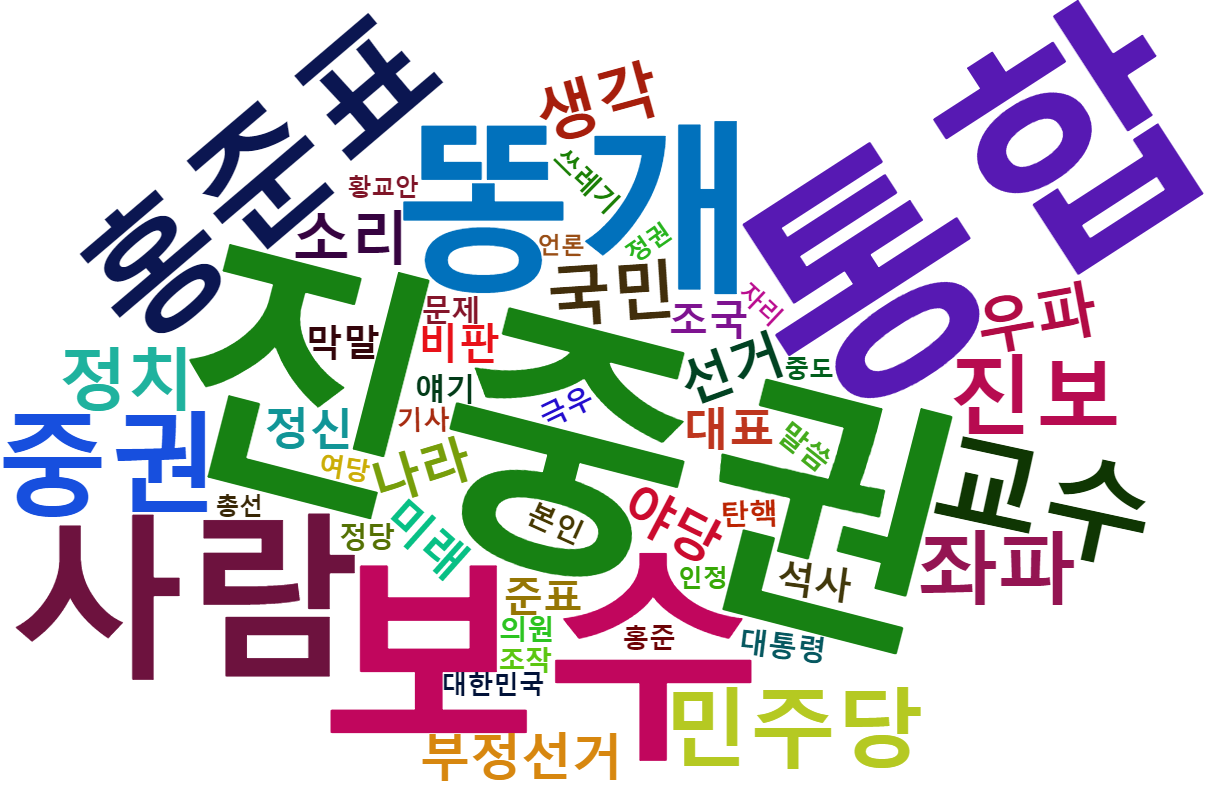 네이버진중권_워드클라우드.png